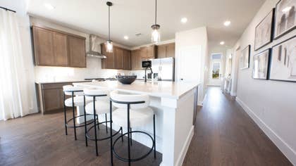 Roosevelt Select F - 11