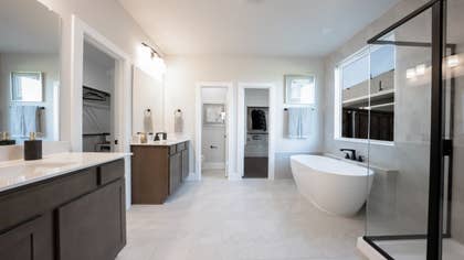 Roosevelt Select F - 19