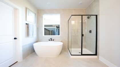 Roosevelt Select F - 21