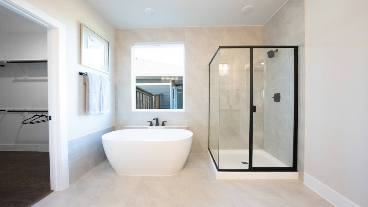 Roosevelt Select F - 31